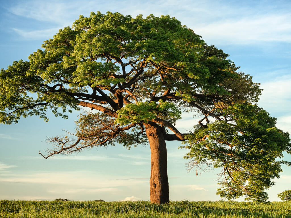 Galeri çalışması 1